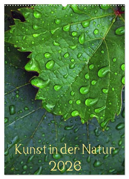 Kunst in der Natur (Wandkalender 2026 DIN A2 hoch) CALVENDO Monatskalender