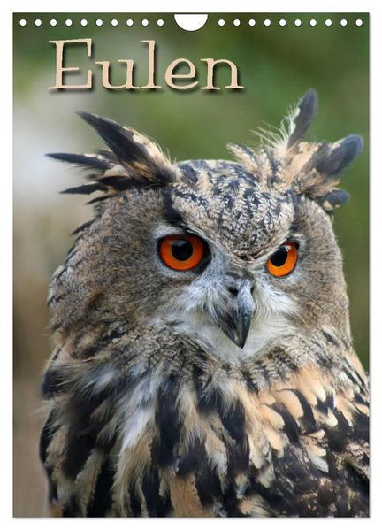 Eulen (Wandkalender 2026 DIN A4 hoch) CALVENDO Monatskalender
