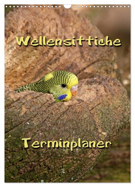 Wellensittiche Terminplaner (Wandkalender 2026 DIN A3 hoch) CALVENDO Monatskalender
