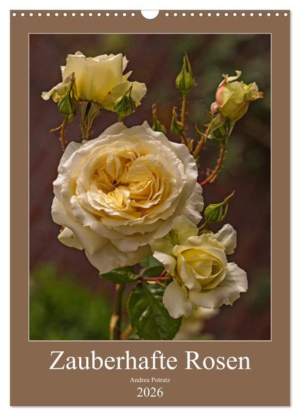 Zauberhafte Rosen (Wandkalender 2026 DIN A3 hoch) CALVENDO Monatskalender