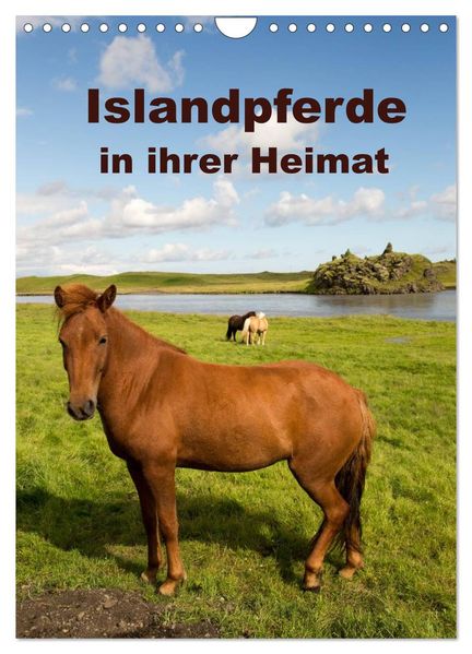 Islandpferde in ihrer Heimat (Wandkalender 2026 DIN A4 hoch) CALVENDO Monatskalender