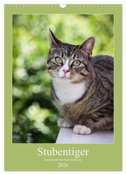 Stubentiger (Wandkalender 2026 DIN A3 hoch) CALVENDO Monatskalender