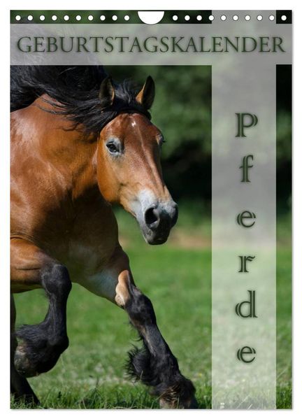 Pferde / Planer (Wandkalender 2026 DIN A4 hoch) CALVENDO Monatskalender
