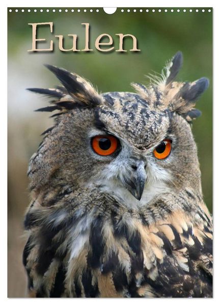 Eulen (Wandkalender 2026 DIN A3 hoch) CALVENDO Monatskalender