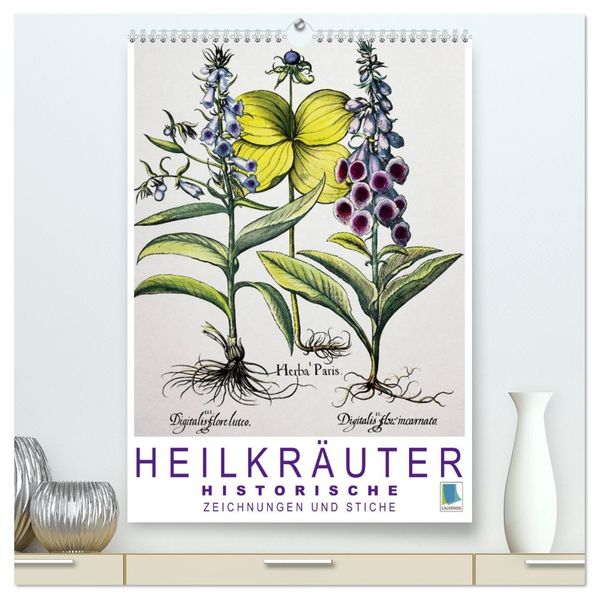 Heilkräuter: Historische Zeichnungen und Stiche (hochwertiger Premium Wandkalender 2026 DIN A2 hoch) Kunstdruck in Hochglanz