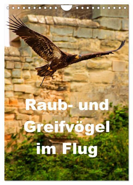 Raub- und Greifvögel im Flug (Wandkalender 2026 DIN A4 hoch) CALVENDO Monatskalender