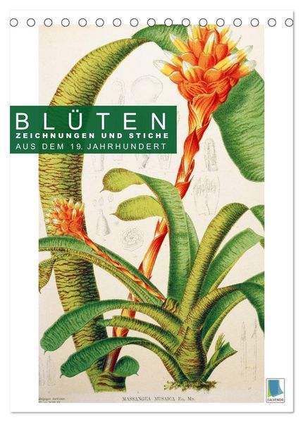 Blüten: Zeichnungen und Stiche aus dem 19. Jahrhundert (Tischkalender 2026 DIN A5 hoch) CALVENDO Monatskalender