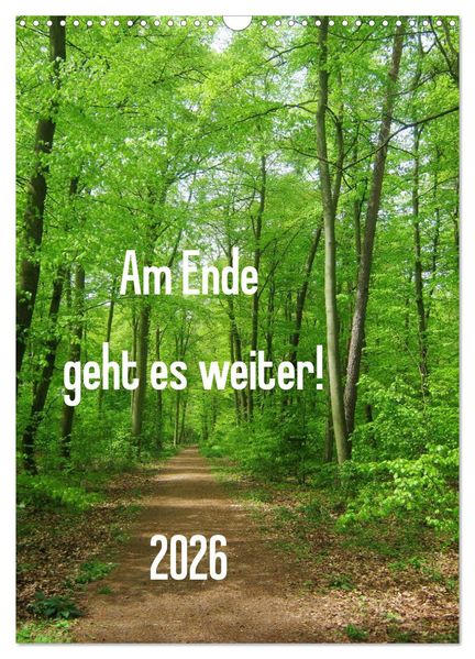 Am Ende geht es weiter! 2026 (Wandkalender 2026 DIN A3 hoch) CALVENDO Monatskalender