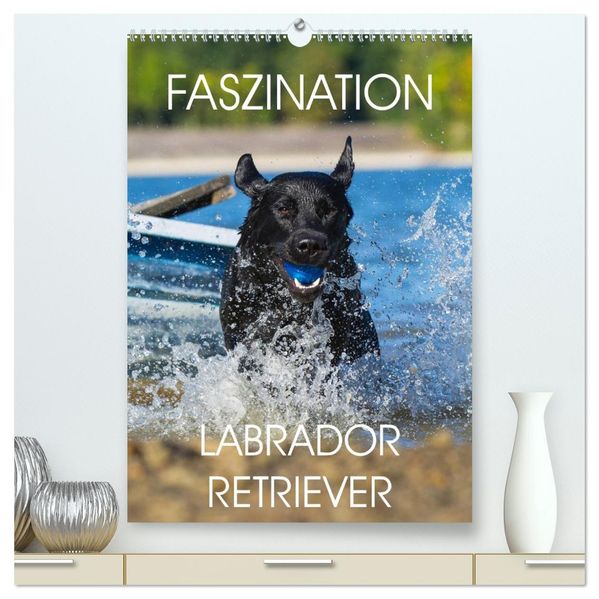 Faszination Labrador Retriever (hochwertiger Premium Wandkalender 2026 DIN A2 hoch) Kunstdruck in Hochglanz