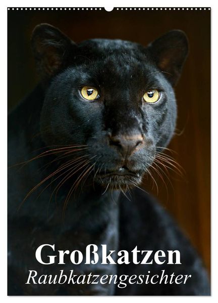 Großkatzen. Raubkatzengesichter (Wandkalender 2026 DIN A2 hoch) CALVENDO Monatskalender