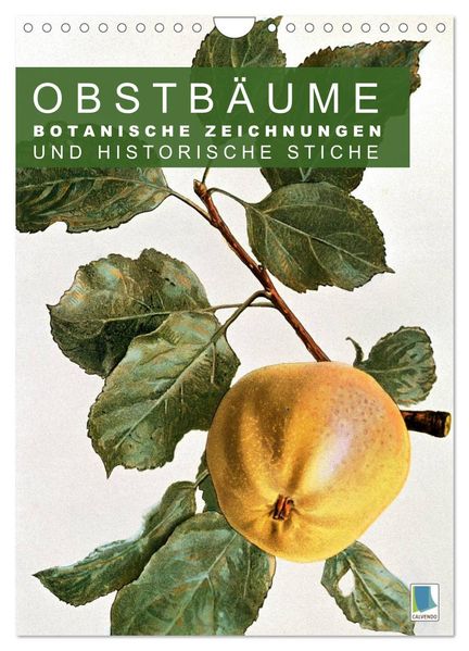 Obstbäume: Botanische Zeichnungen und historische Stiche (Wandkalender 2026 DIN A4 hoch) CALVENDO Monatskalender
