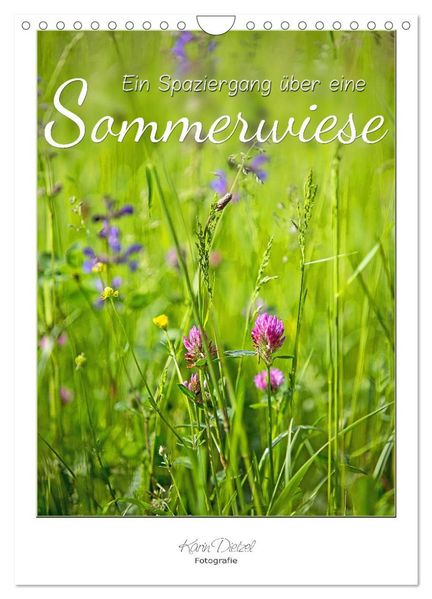 Ein Spaziergang über eine Sommerwiese (Wandkalender 2026 DIN A4 hoch) CALVENDO Monatskalender