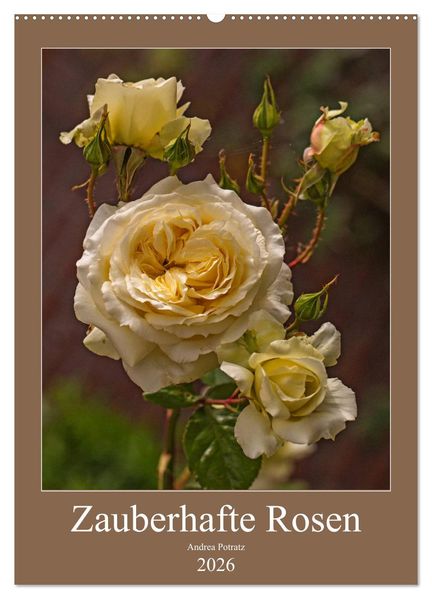 Zauberhafte Rosen (Wandkalender 2026 DIN A2 hoch) CALVENDO Monatskalender