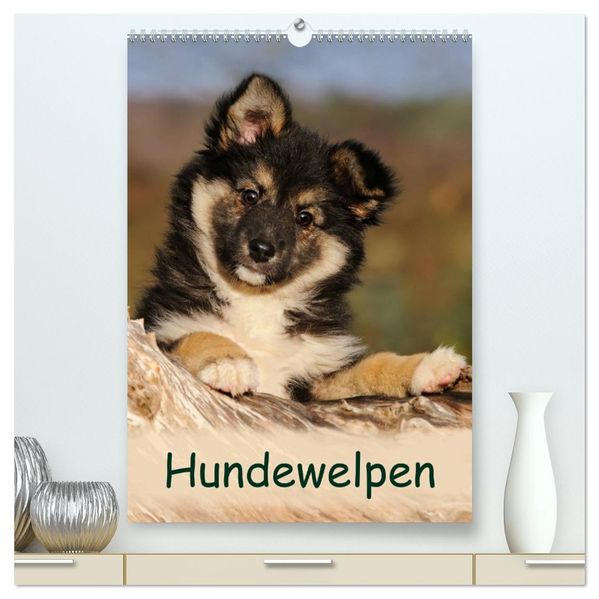 Hundewelpen (hochwertiger Premium Wandkalender 2026 DIN A2 hoch) Kunstdruck in Hochglanz