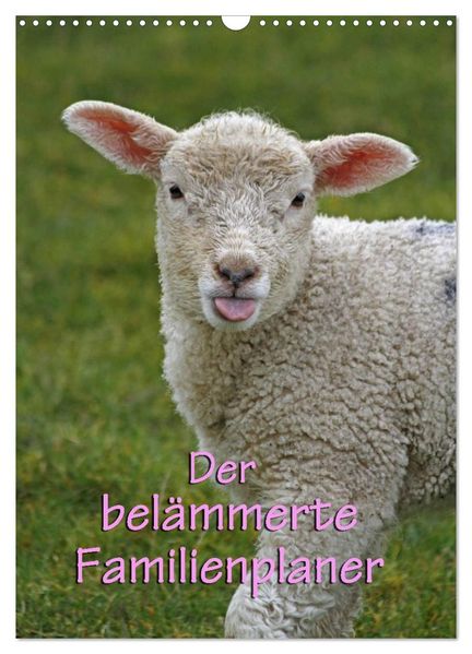 Der belämmerte Familienplaner (Wandkalender 2026 DIN A3 hoch) CALVENDO Monatskalender
