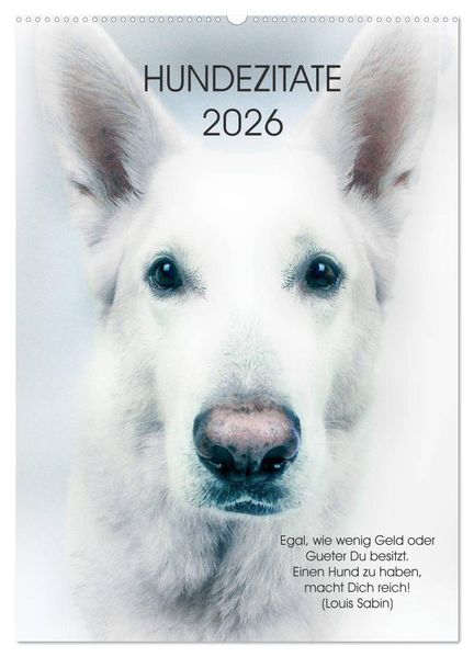Hundezitate 2026 (Wandkalender 2026 DIN A2 hoch) CALVENDO Monatskalender