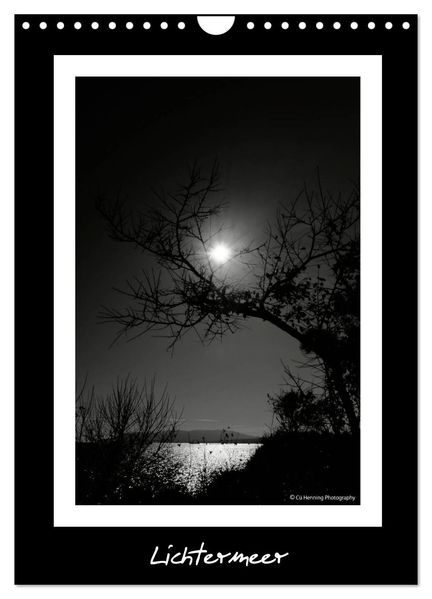 Lichtermeer (Wandkalender 2026 DIN A4 hoch) CALVENDO Monatskalender
