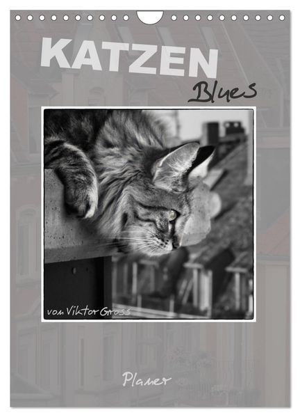 Katzen Blues / Planer (Wandkalender 2026 DIN A4 hoch) CALVENDO Monatskalender
