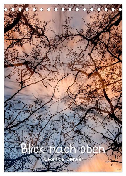 Blick nach oben (Tischkalender 2026 DIN A5 hoch) CALVENDO Monatskalender