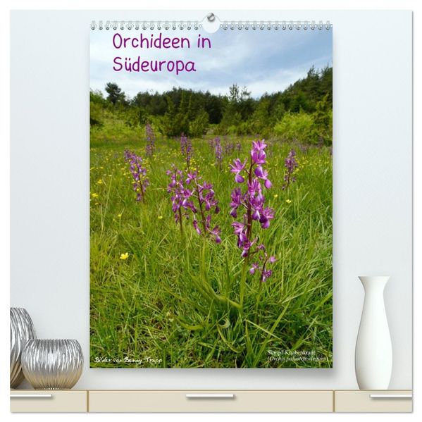 Orchideen in Südeuropa (hochwertiger Premium Wandkalender 2026 DIN A2 hoch) Kunstdruck in Hochglanz