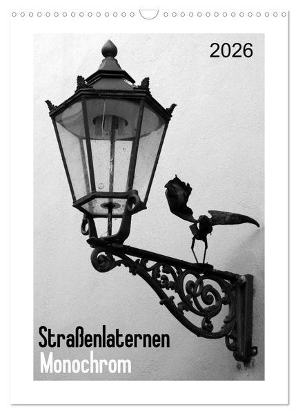 Straßenlaternen Monochrom (Wandkalender 2026 DIN A3 hoch) CALVENDO Monatskalender