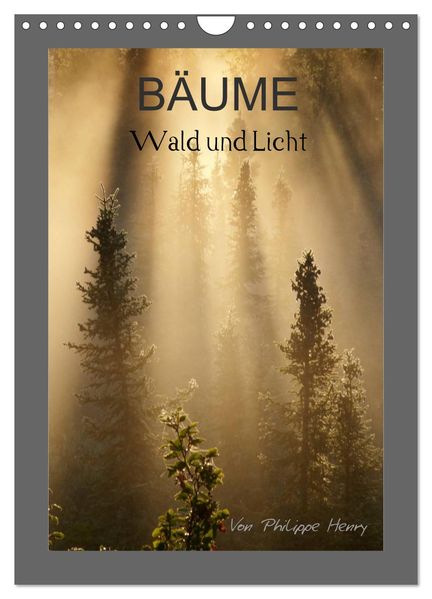 BÄUME (Wandkalender 2026 DIN A4 hoch) CALVENDO Monatskalender