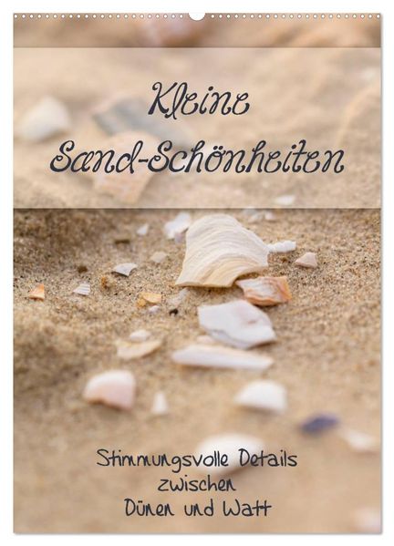 Kleine Sand-Schönheiten / Familienplaner (Wandkalender 2026 DIN A2 hoch) CALVENDO Monatskalender