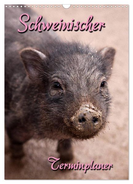 Schweinischer Terminplaner (Wandkalender 2026 DIN A3 hoch) CALVENDO Monatskalender