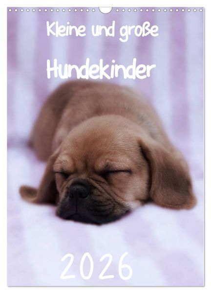 Kleine und große Hundekinder 2026 (Wandkalender 2026 DIN A3 hoch) CALVENDO Monatskalender