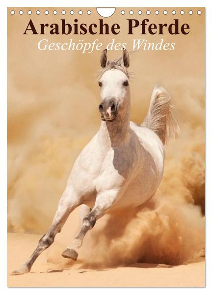 Arabische Pferde Geschöpfe des Windes (Wandkalender 2026 DIN A4 hoch) CALVENDO Monatskalender