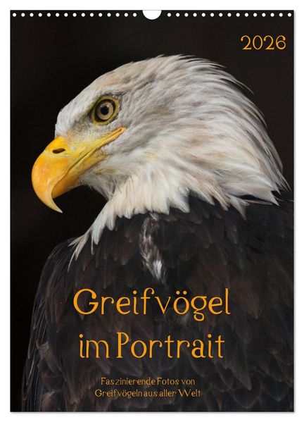 Greifvögel im Portrait (Wandkalender 2026 DIN A3 hoch) CALVENDO Monatskalender