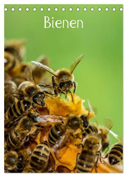 Bienen (Tischkalender 2026 DIN A5 hoch) CALVENDO Monatskalender