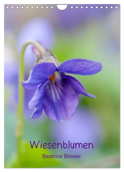 Wiesenblumen (Wandkalender 2026 DIN A4 hoch) CALVENDO Monatskalender