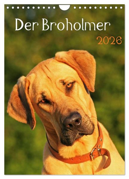 Der Broholmer (Wandkalender 2026 DIN A4 hoch) CALVENDO Monatskalender