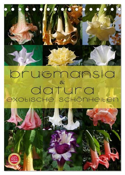 Brugmansia & Datura - Exotische Schönheiten (Tischkalender 2026 DIN A5 hoch) CALVENDO Monatskalender