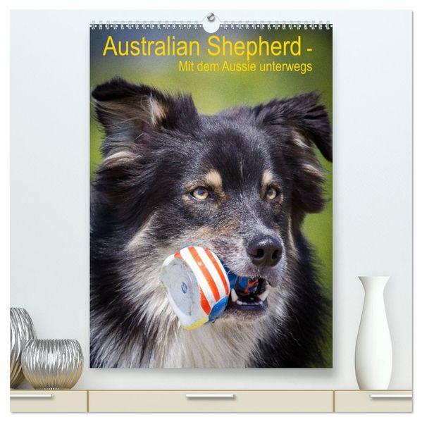 Australian Shepherd - Mit dem Aussie unterwegs (hochwertiger Premium Wandkalender 2026 DIN A2 hoch) Kunstdruck in Hochglanz