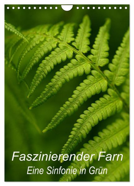Faszinierender Farn - Eine Sinfonie in Grün (Wandkalender 2026 DIN A4 hoch) CALVENDO Monatskalender