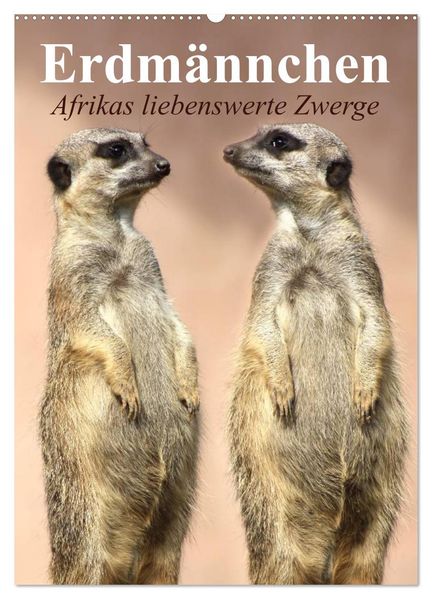 Erdmännchen - Afrikas liebenswerte Zwerge (Wandkalender 2026 DIN A2 hoch) CALVENDO Monatskalender