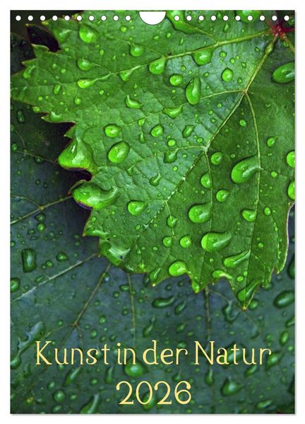 Kunst in der Natur (Wandkalender 2026 DIN A4 hoch) CALVENDO Monatskalender