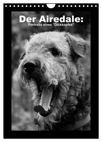 Der Airedale: Portraits eines 'Dickkopfes' (Wandkalender 2026 DIN A4 hoch) CALVENDO Monatskalender