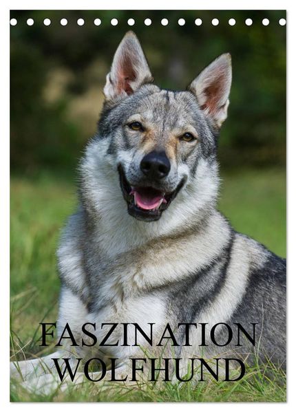 Faszination Wolfhund (Tischkalender 2026 DIN A5 hoch) CALVENDO Monatskalender