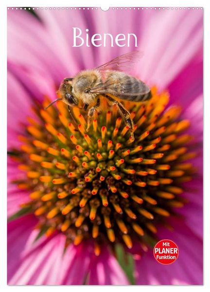 Bienenplaner (Wandkalender 2026 DIN A2 hoch) CALVENDO Monatskalender