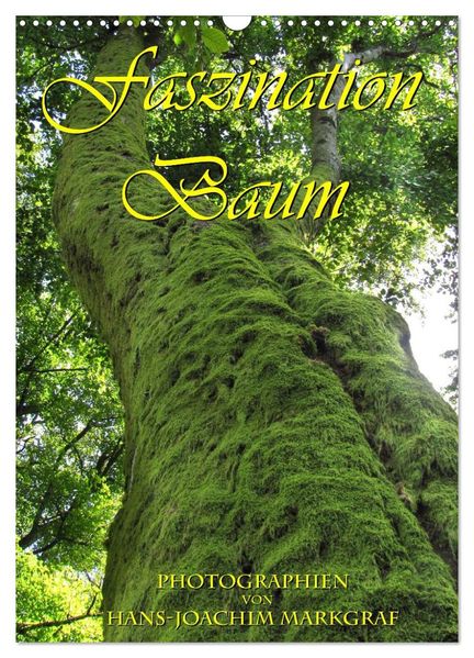 Faszination Baum (Wandkalender 2026 DIN A3 hoch) CALVENDO Monatskalender