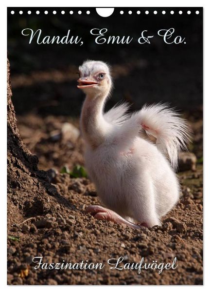 Nandu Emu & Co. (Wandkalender 2026 DIN A4 hoch) CALVENDO Monatskalender