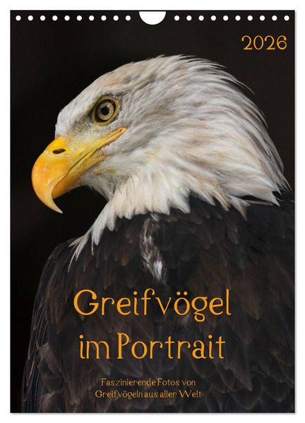 Greifvögel im Portrait (Wandkalender 2026 DIN A4 hoch) CALVENDO Monatskalender
