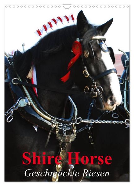 Shire Horse - Geschmückte Riesen (Wandkalender 2026 DIN A3 hoch) CALVENDO Monatskalender