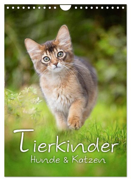 Tierkinder Hunde und Katzen (Wandkalender 2026 DIN A4 hoch) CALVENDO Monatskalender