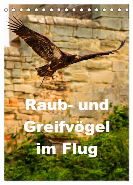 Raub- und Greifvögel im Flug (Tischkalender 2026 DIN A5 hoch) CALVENDO Monatskalender