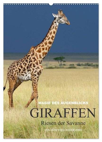 Magie des Augenblicks - Giraffen - Riesen der Savanne (Wandkalender 2026 DIN A2 hoch) CALVENDO Monatskalender