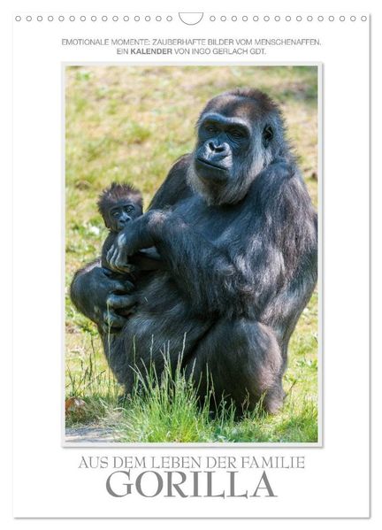 Emotionale Momente: Aus dem Leben der Familie Gorilla. (Wandkalender 2026 DIN A3 hoch) CALVENDO Monatskalender